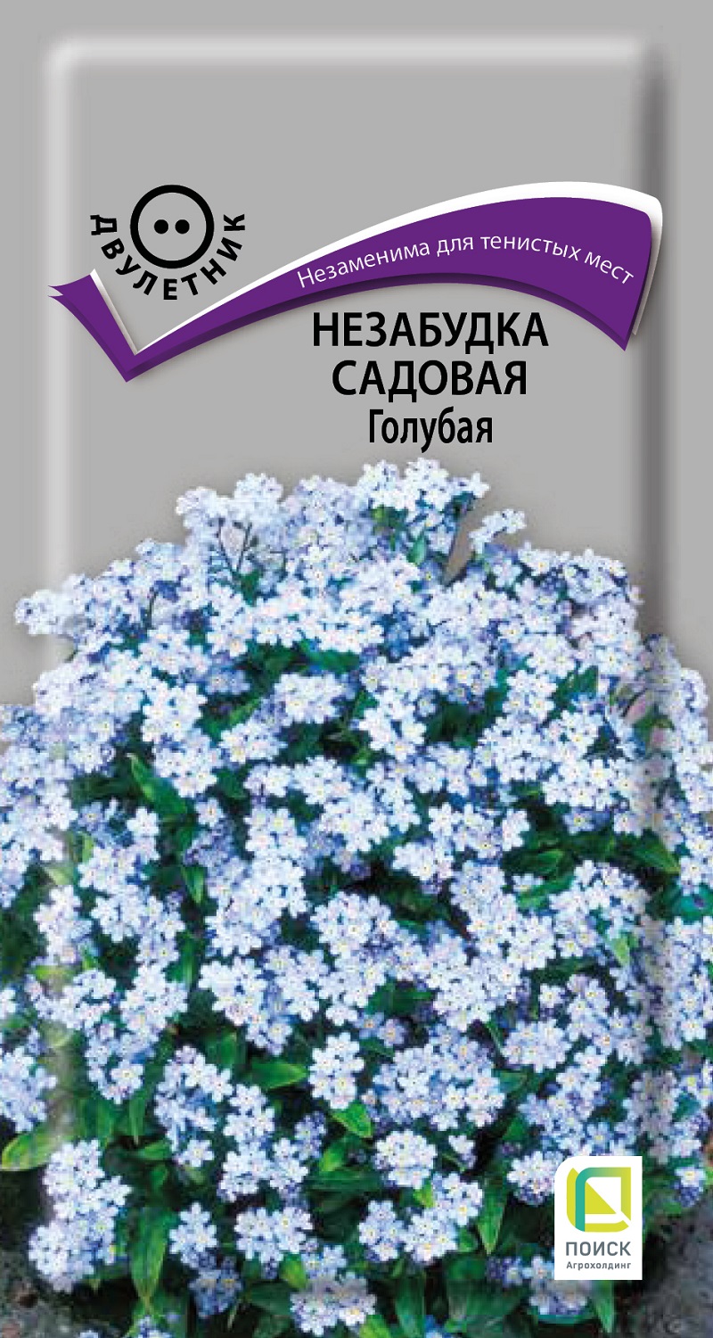 Семена Незабудка Голубая садовая ПОИСК - купить в интернет-магазине Novex
