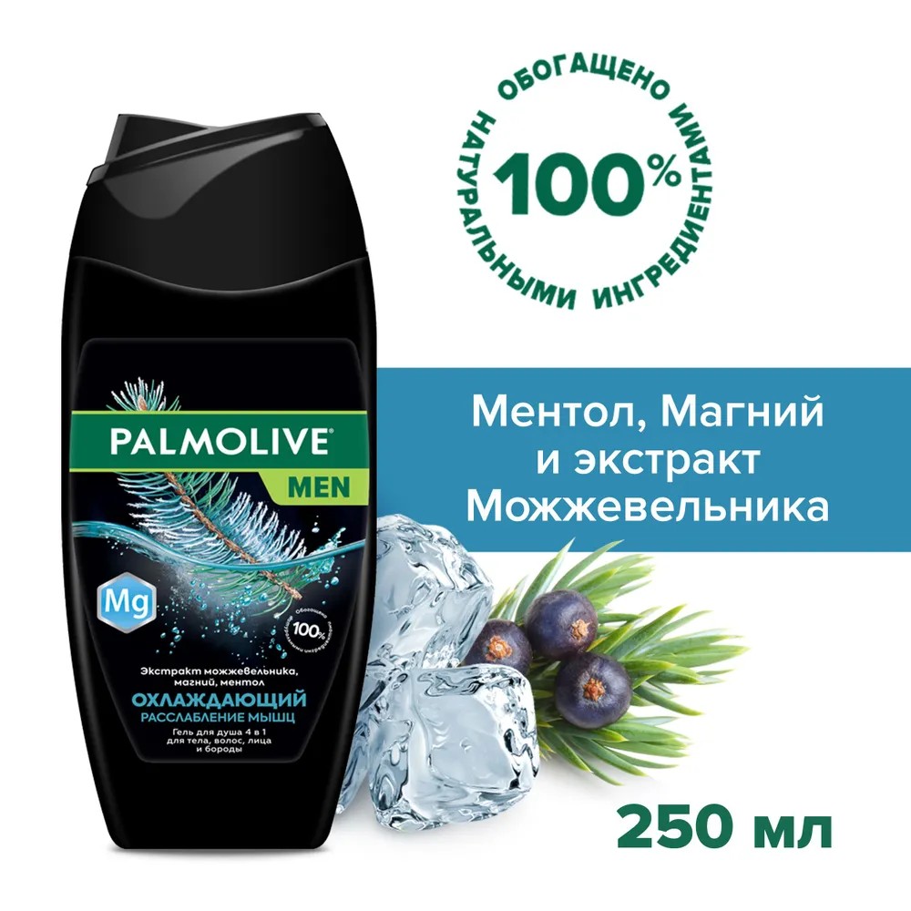 Гель для душа мужской Palmolive 4 в 1 Охлаждающий Расслабление мыщц ...
