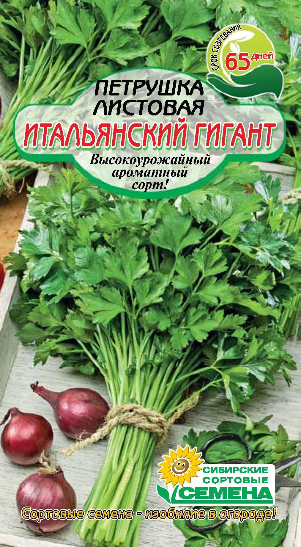Петрушка Итальянский Гигант листовая 1гр.(ссс) - купить в интернет ...