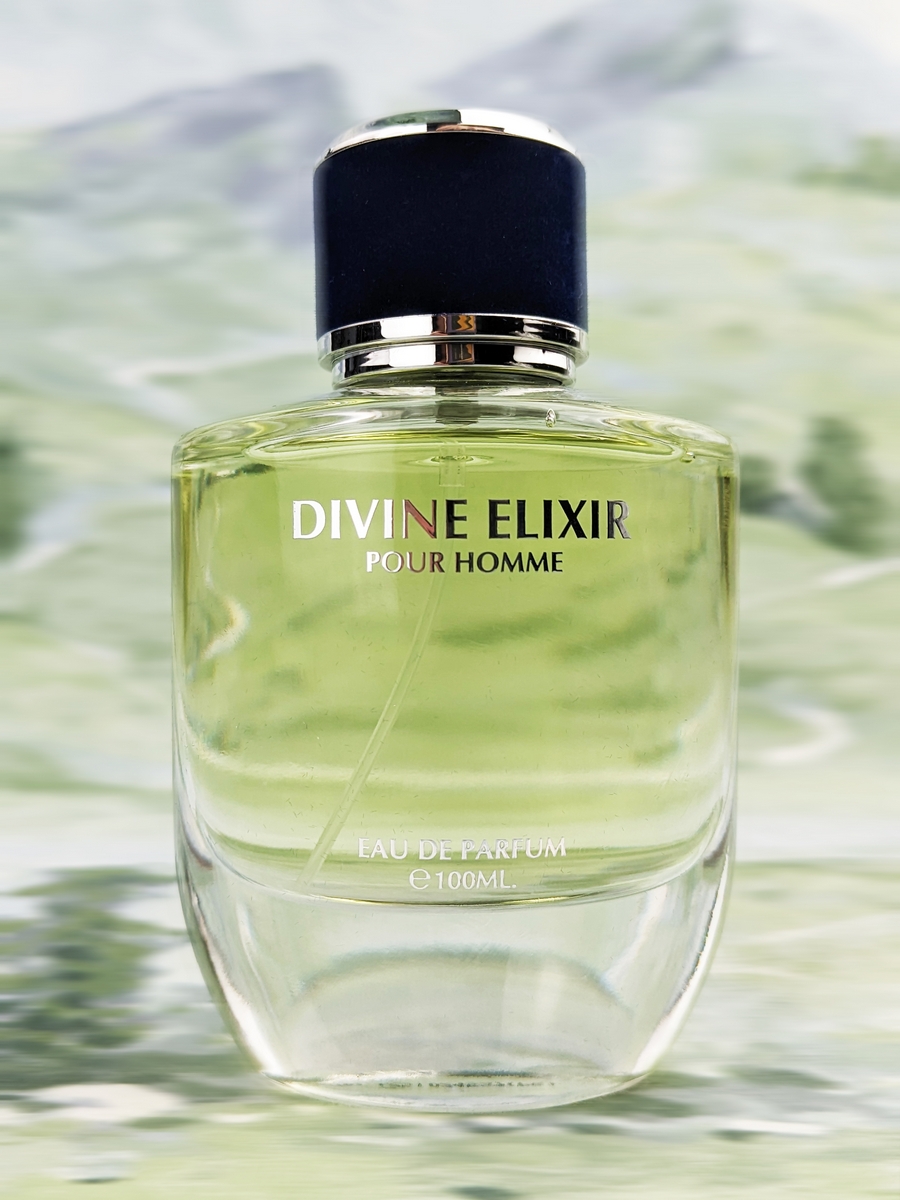 Парфюмерная вода для мужчин DIVINE ELIXIR Pour Homme 100мл - купить в ...