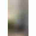 IMG_2879.jpeg