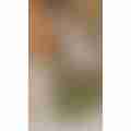 scaled_image_picker5872491776001876406.jpg