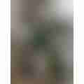 scaled_1000001782.jpg