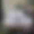 scaled_IMG_20240525_120133.jpg