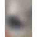 scaled_image_picker2981197553177675755.jpg