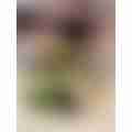 image_picker_7C0ECDB3-32F6-49CE-8D44-8E2BF2A36CC2-15991-000001FB6C75B14E.jpg