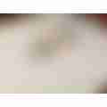 scaled_image_picker2417904667642644261.jpg