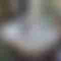 scaled_IMG_20240525_115747.jpg