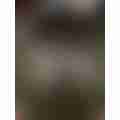 image_picker_DC0C5AB7-4BDA-433E-80FE-2E867E19E4EA-33073-000004EABE464323.jpg
