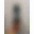 scaled_image_picker3447729202379208712.jpg