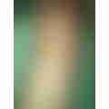 scaled_1000017665.jpg