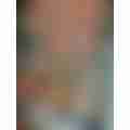 scaled_1000034826.jpg