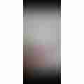 scaled_image_picker1191034693589834478.jpg