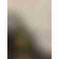 image_picker_39057D63-9328-480B-8F8C-01E0E2A5B528-31130-00001A1AF6496FB5.jpg
