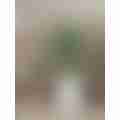 image_picker_B6D40E86-6F05-47F7-874F-B3057F2851F8-14271-00000B17135BDE0B.jpg