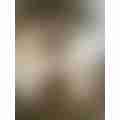 image_picker_FDC08A4C-9CD7-404E-9C58-B4934E539224-8593-000006D421D9C65D.jpg