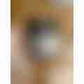 image_picker_9E096110-9AE2-4ECA-AE2B-7A5E521F7F58-41682-00001A7713200098.jpg