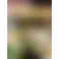 image_picker_74E7A5A3-C16D-401F-85B0-A918D78C8C10-15991-000001FB66E92B8C.jpg