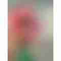 image_picker_8E67382E-9E47-4B04-9AB5-17897A13E093-56792-000015BD661385B5.jpg