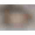 scaled_image_picker7221160954936757509.jpg