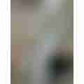 IMG_4931.jpeg