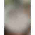 image_picker_F96E5591-10EF-4CA3-B0B6-50AB45E2A777-43544-00002370080CD1F9.jpg