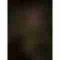 scaled_image_picker6685780515212359956.jpg
