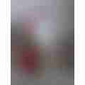 scaled_image_picker361897754306100800.jpg