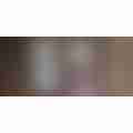 scaled_image_picker1785422447882453625.jpg