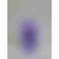 scaled_2a58b98f-f07a-488b-bb90-8daca80955e83694078315723450245.jpg