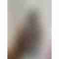 IMG_9388.jpeg