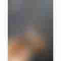 scaled_bb45f0a8-f59a-4994-b0fc-91a4ea9b174e3895454866144933550.jpg