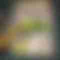17186031290333760086673992099618.jpg