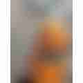 scaled_ff712a3d-6fa7-4b8c-b17c-31dfff21ef015321856765435885592.jpg