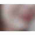scaled_image_picker5482404137980267331.jpg