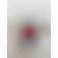 image_picker_64732DA1-680C-41F1-92ED-65C13DDC3C0D-19448-000003899F21B8DD.jpg