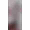 scaled_1000055122.heic