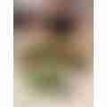 image_picker_3AF307CA-58E1-4AB2-9769-85BE18805BA5-15991-000001FB58B12891.jpg