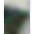 scaled_410a60cc-28aa-495e-98dd-ad159f02a34b7062085373466542838.jpg