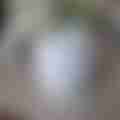 scaled_IMG_20240525_115313.jpg
