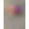 2BF618AB-6B8A-40BF-99C9-84BA51CDBBB9.jpeg