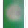 scaled_ae3e013f-2c8a-4d32-bca1-084a2fd256076062380825605028273.jpg