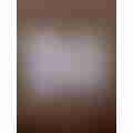scaled_image_picker4963406266171159124.jpg