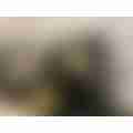 image_picker_BBB9ED13-91CE-4183-94A0-967BC9C03971-31130-00001A1B27B03CC5.jpg