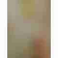 scaled_7c5a275b-ed71-421f-81f8-6a22d2ce35528548947678225940836.jpg