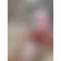 scaled_image_picker5391616161325070813.jpg