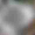 scaled_IMG_20240525_115559.jpg