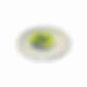 Набор одноразовых тарелок Green Mystery, диаметр: 172мм, 6шт