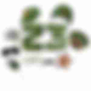 Фотобутафория 23 февраля 11 шт