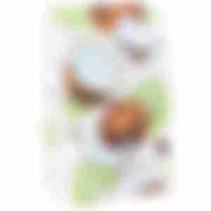 Коробка складная конверт 12*5*19 Кокосы КРС-4944